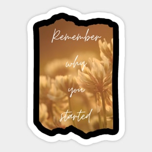 Remember Why You Started Inspirational Gift Motivational Sticker